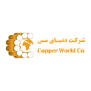 مس کاشان