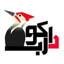 طراحی سایت دارکوب