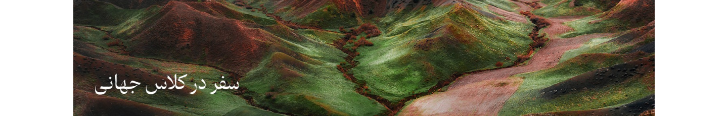 فلای تودی